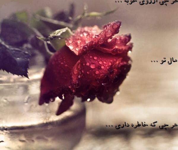عکس نوشته کوچه باغ خاطره ها