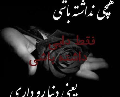 عکس نوشته دایی مرسی که هستی