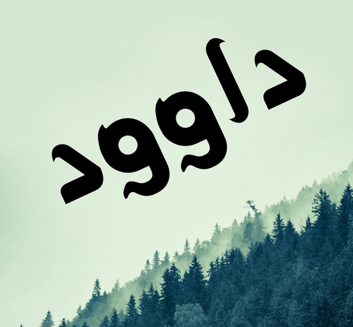 عکس نوشته زیبا داوود