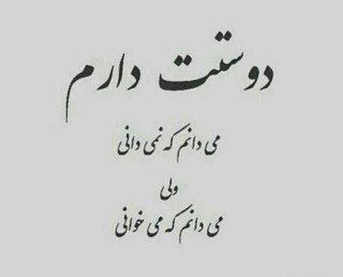 عکس نوشته دوست دارم میدانم که نمیدانی