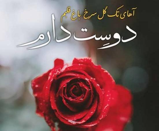 عکس نوشته دوستت دارم با گل