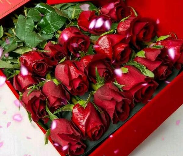 عکس نوشته دوستت دارم با گل