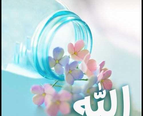عکس نوشته ذبیح الله