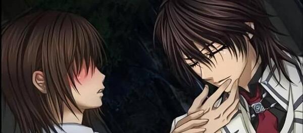عکس انیمه vampire knight