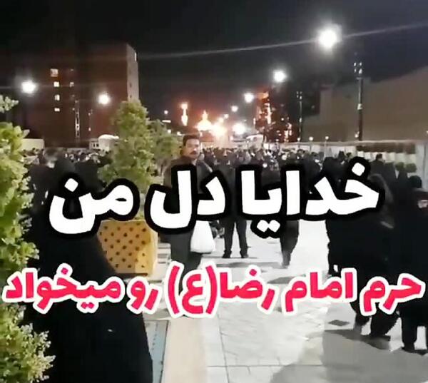 عکس نوشته یا امام رضا دلم خیلی گرفته