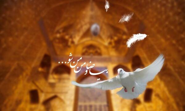 عکس نوشته ی امام رضا کمکم کن