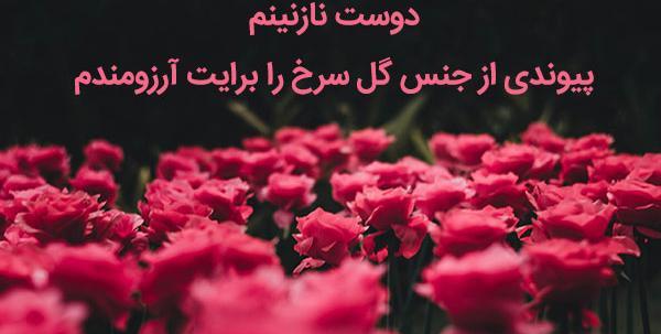 عکس نوشته رفیق پیوندت مبارک