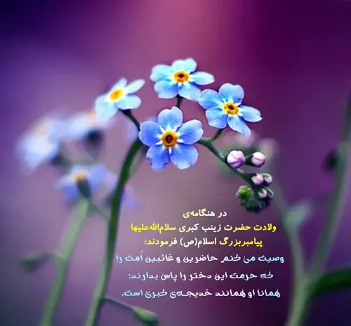 عکس نوشته تولد حضرت زینب وروز پرستار