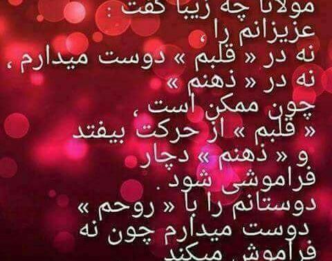 عکس نوشته چه زیبا گفت مولانا