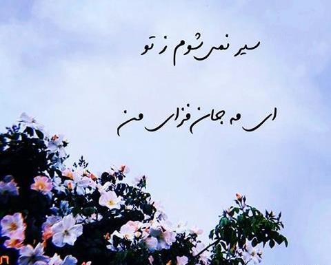عکس نوشته چه زیبا گفت مولانا
