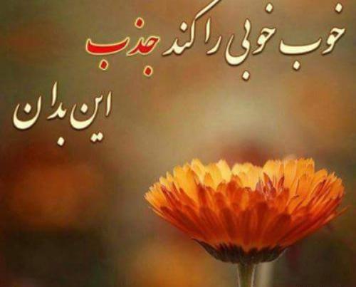 عکس نوشته چه زیبا گفت مولانا