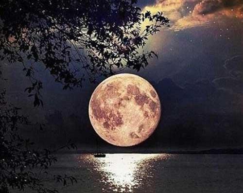 عکس نوشته زیبا شب