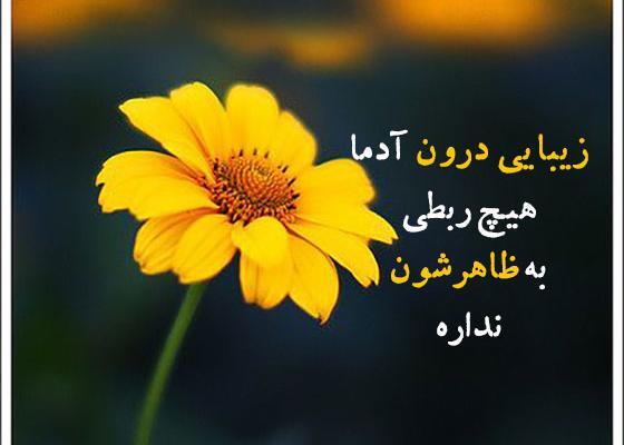 عکس نوشته زیبایی ظاهری
