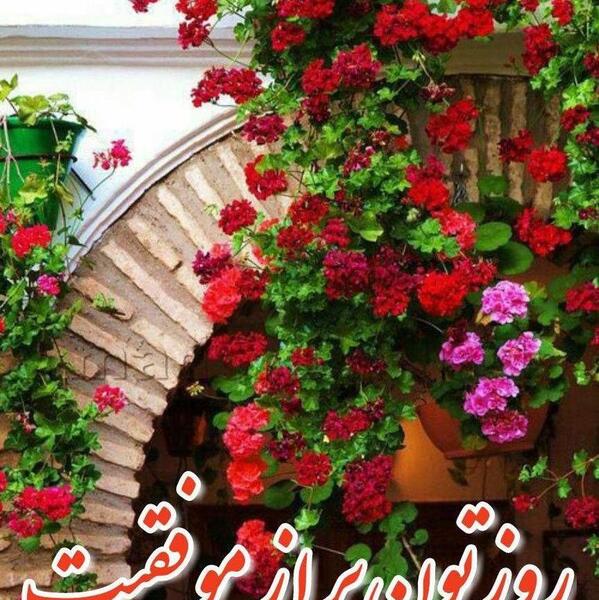 عکس نوشته ظهر بخیر زیبا