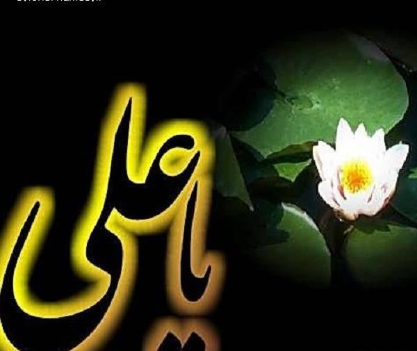 عکس نوشته زیبا یا علی