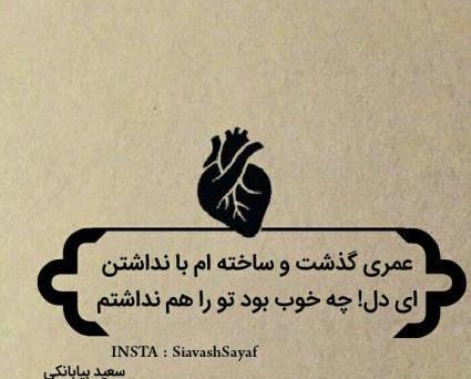عکس نوشته های سعید بیابانکی