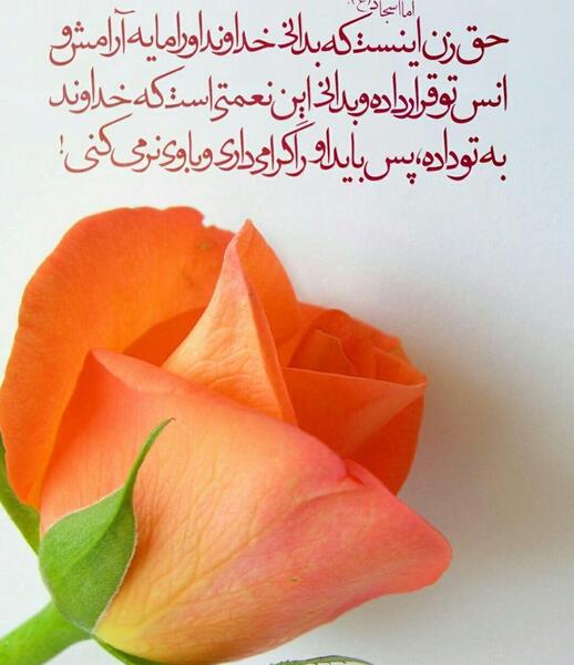 عکس نوشته از سخنان امام سجاد