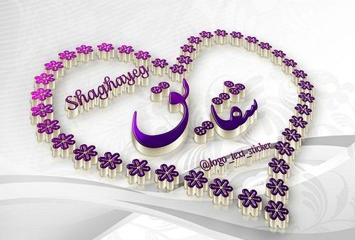عکس نوشته اسم شقایق جدید