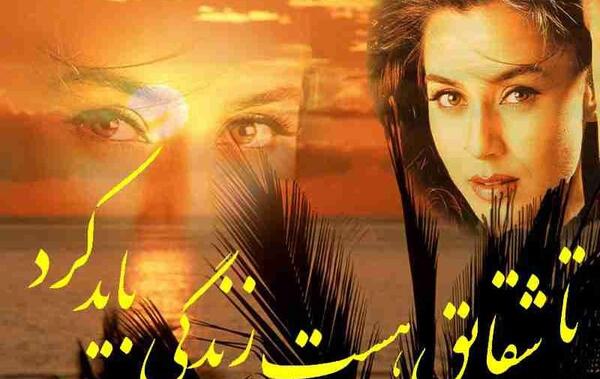 عکس نوشته تا شقایق هست زندگی باید کرد