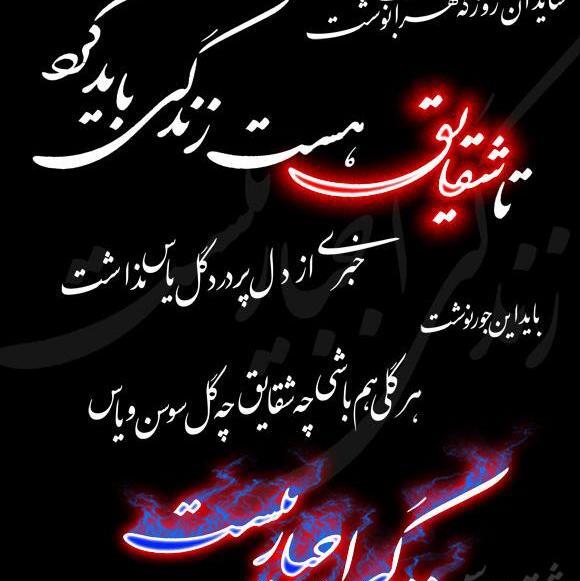 عکس نوشته تا شقایق هست زندگی باید کرد