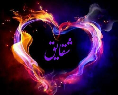 عکس نوشته شقایق جدید