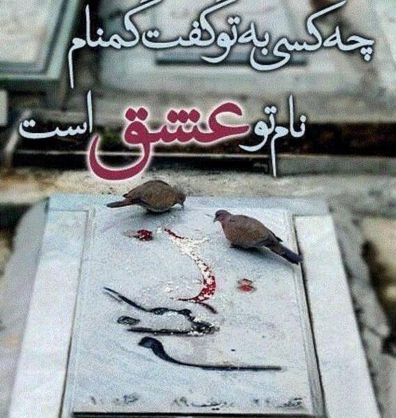 عکس نوشته شادی روح شهدا صلوات