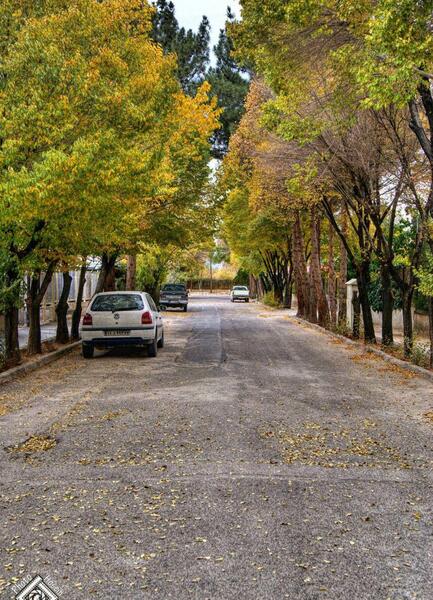 عکس نوشته شاهین شهر