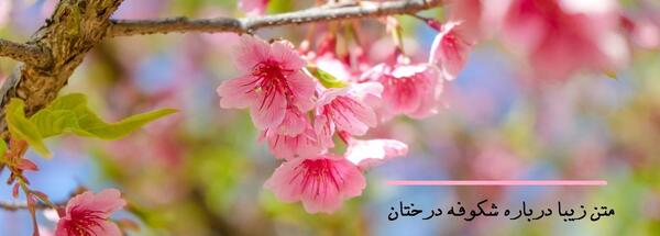 عکس نوشته شکوفه های بهاری