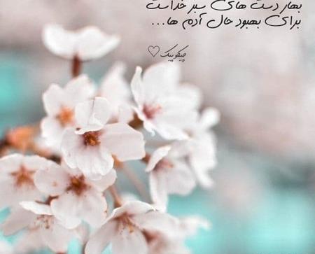 عکس نوشته شکوفه های بهاری