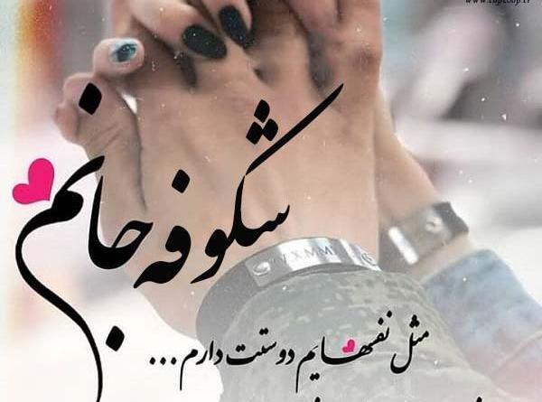 عکس نوشته شکوفه