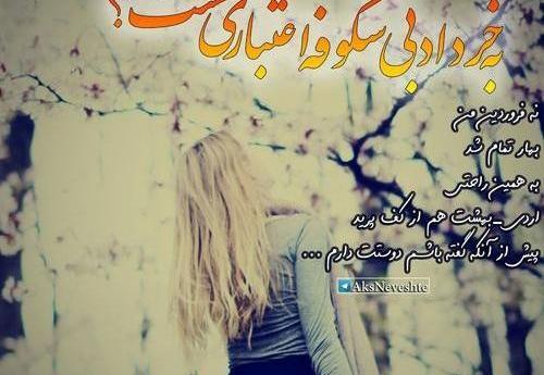 عکس نوشته شکوفه