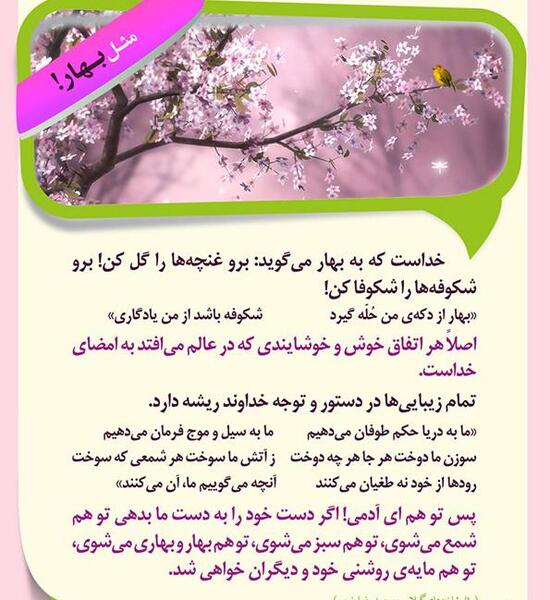 عکس نوشته درباره شکوفه