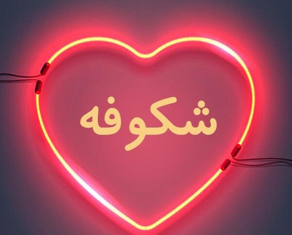 عکس نوشته شده شکوفه