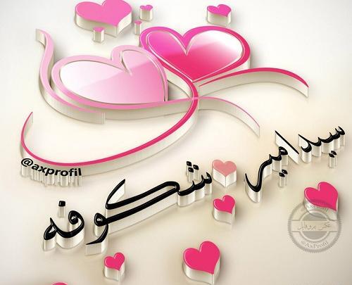 عکس نوشته شده شکوفه