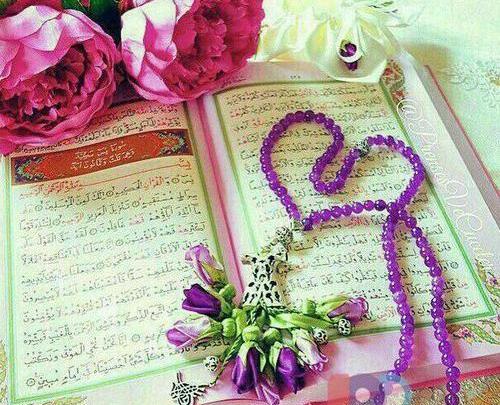 عکس نوشته از فرزند صالح