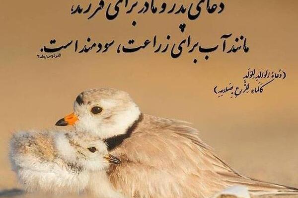 عکس نوشته از فرزند صالح
