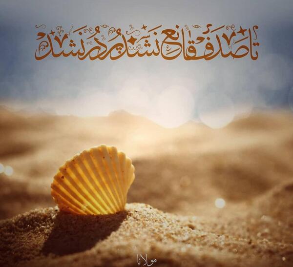 عکس نوشته پروفایل صدف