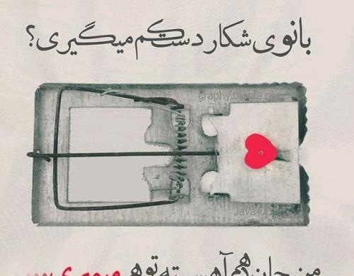 عکس نوشته های علیرضا