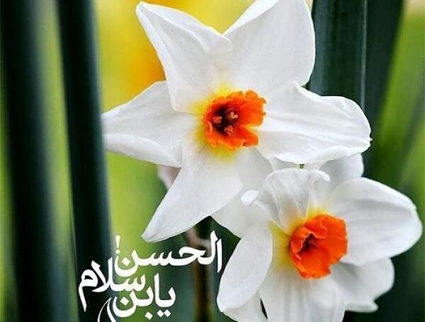 عکس نوشته طاها و یاسین