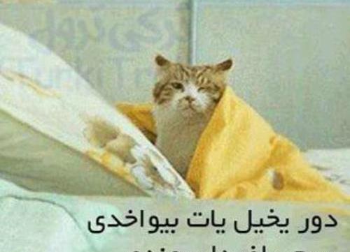 عکس نوشته طنز ترکی