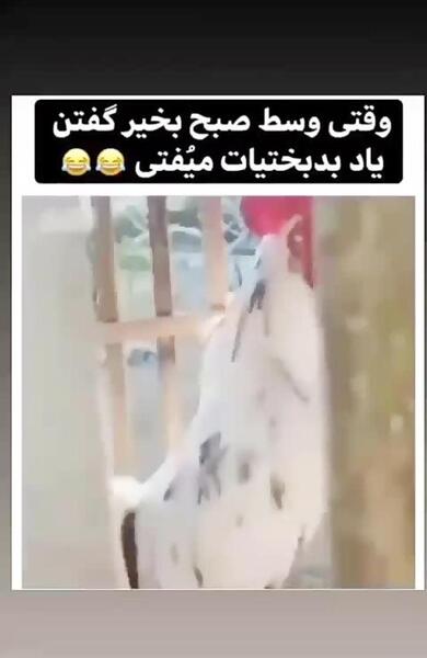 عکس نوشته های طنز صبح بخیر