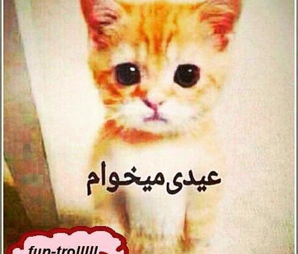 عکس نوشته طنز عیدی میخوام