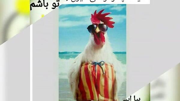 عکس نوشته طنز عید غدیر