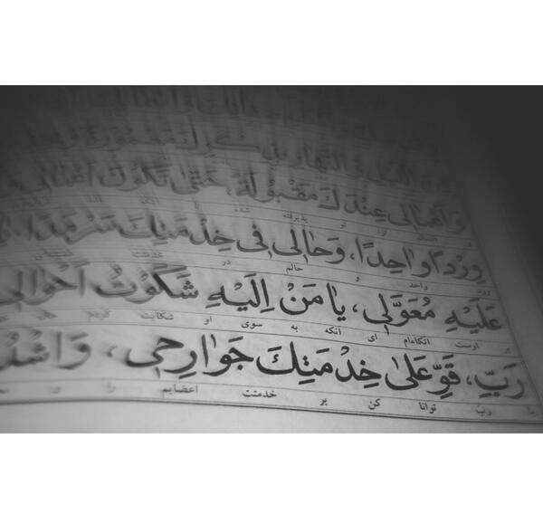 عکس نوشته قو علی خدمتک جوارحی