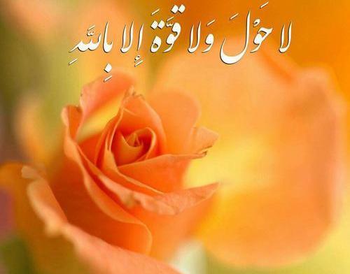 عکس نوشته قو علی خدمتک جوارحی