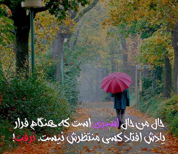 عکس نوشته علی صفری