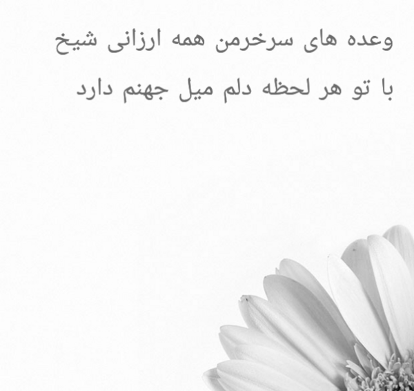 عکس نوشته علی صفری