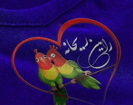 عکس نوشته رامین و فرشته