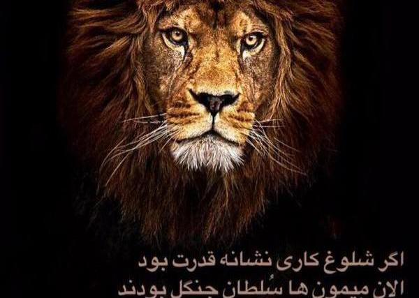 عکس نوشته قدرت شیر