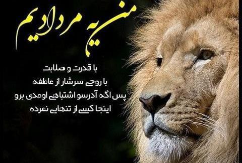 عکس نوشته قدرت شیر